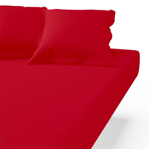3S. x Tertio (Nos Unis) - Drap-housse coton TERTIO® - Rouge Carmin - Drap housse 160 x 200 cm