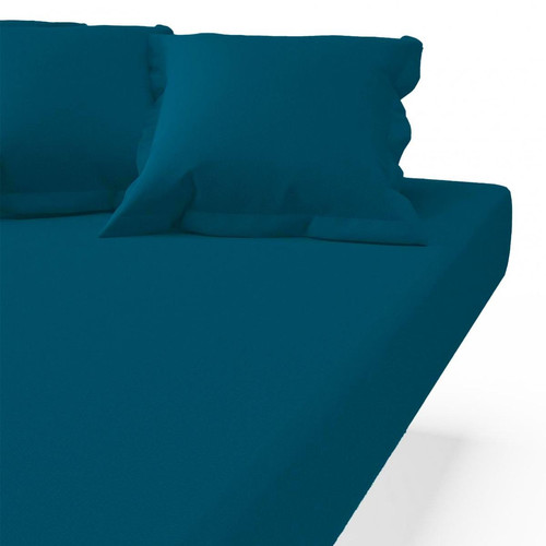 3S. x Tertio (Nos Unis) - Drap-housse coton TERTIO® - Bleu Canard - Drap housse 160 x 200 cm